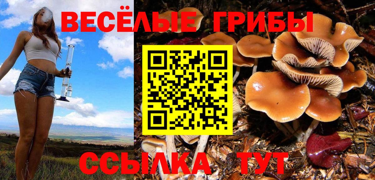 Псилоцибиновые грибы ЛСД Арсеньев